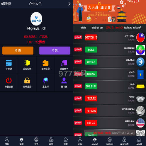 语言多个微交易源码 期货外汇虚拟币 海外微盘源码